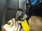 2017 Ford Super Duty F-250 SRW XLT