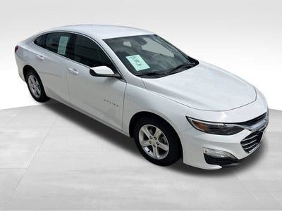 2024 Chevrolet Malibu FL