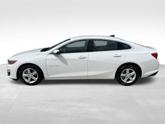 2024 Chevrolet Malibu FL