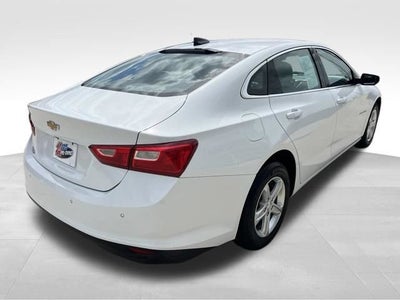 2024 Chevrolet Malibu FL