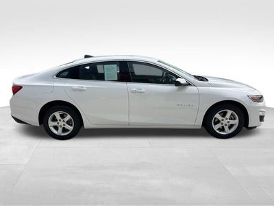 2024 Chevrolet Malibu FL