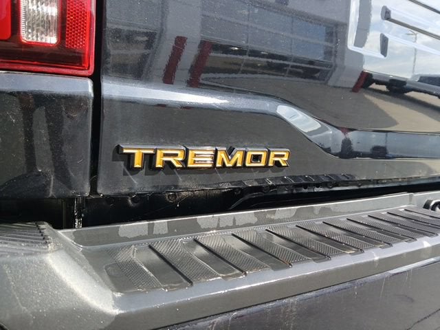 2024 Ford F-150 Tremor
